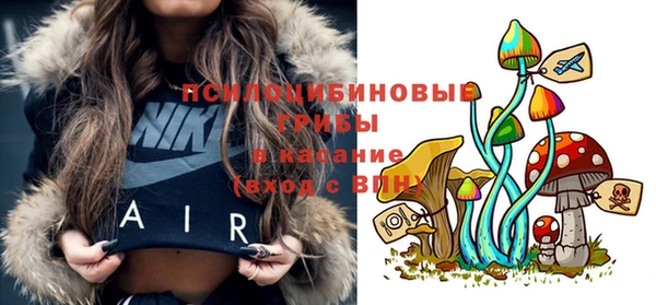 кристаллы Богородск